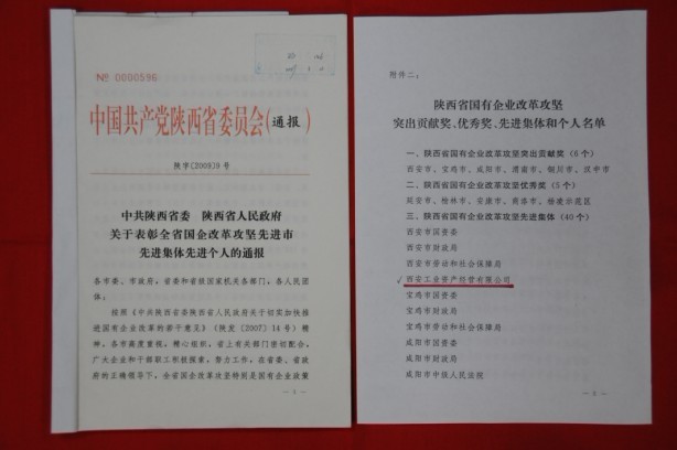 2009年2月，被陜西省委、省政府授予陜西省國有企業(yè)改革攻堅先進集體