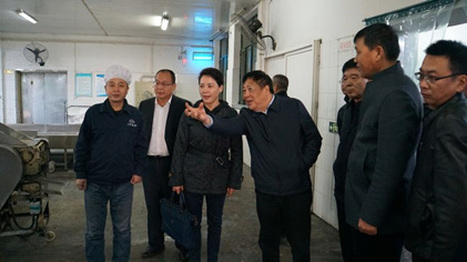集團領(lǐng)導金輝率隊到西安太陽食品有限公司調(diào)研